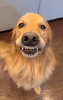 Teddy's infectious smile